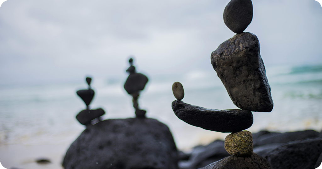 balancing different priorities through SaaS Subscription Management with embedded payments functionality